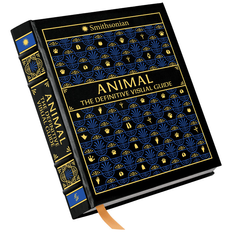 Animal The Definitive Visual Guide 3832 a cvr